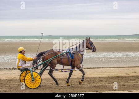Trabrennen am Harbour View Beach, Kilbrittain, Co. Cork. Mai 2023 Stockfoto