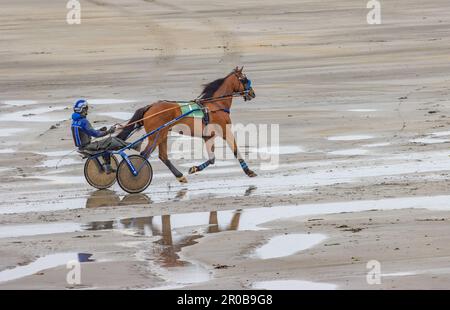 Trabrennen am Harbour View Beach, Kilbrittain, Co. Cork. Mai 2023 Stockfoto