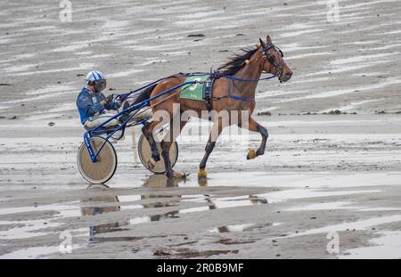 Trabrennen am Harbour View Beach, Kilbrittain, Co. Cork. Mai 2023 Stockfoto