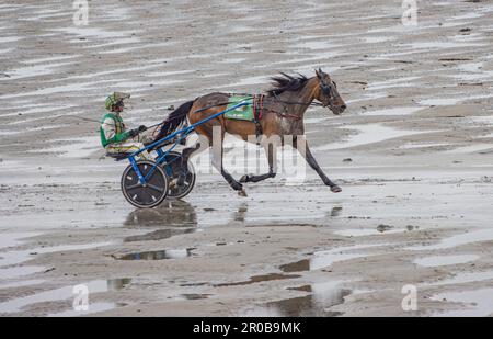 Trabrennen am Harbour View Beach, Kilbrittain, Co. Cork. Mai 2023 Stockfoto