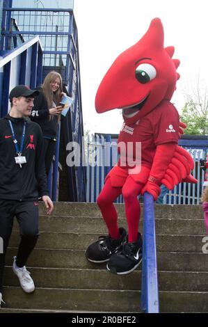 Mighty Red im Prenton Park vor Liverpool V Manchester City (Terry Scott/SPP) Guthaben: SPP Sport Press Photo. Alamy Live News Stockfoto