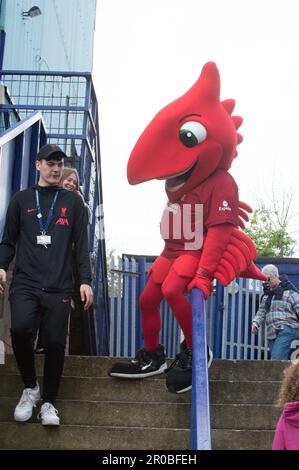 Mighty Red im Prenton Park vor Liverpool V Manchester City (Terry Scott/SPP) Guthaben: SPP Sport Press Photo. Alamy Live News Stockfoto