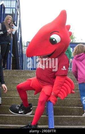 Mighty Red im Prenton Park vor Liverpool V Manchester City (Terry Scott/SPP) Guthaben: SPP Sport Press Photo. Alamy Live News Stockfoto