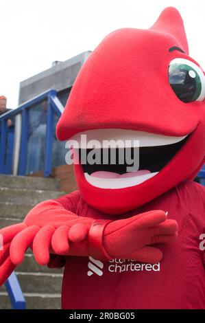 Mighty Red im Prenton Park vor Liverpool V Manchester City (Terry Scott/SPP) Guthaben: SPP Sport Press Photo. Alamy Live News Stockfoto