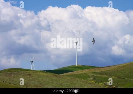 Windturbinen gegen den bewölkten Himmel von Sizilien, Italien Stockfoto