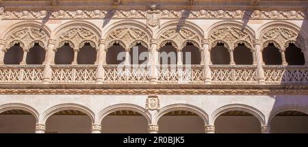 Valladolid, Spanien - 19. Juli 2020: Innenhof Colegio de San Gregorio. Langformat, Valladolid, Spanien Stockfoto