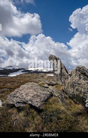 Blick vom Aussichtspunkt Kosciuszko zum Berg Kosciuszko im Sommer, Kosciuszko Nationalpark, New South Wales, Australien Stockfoto