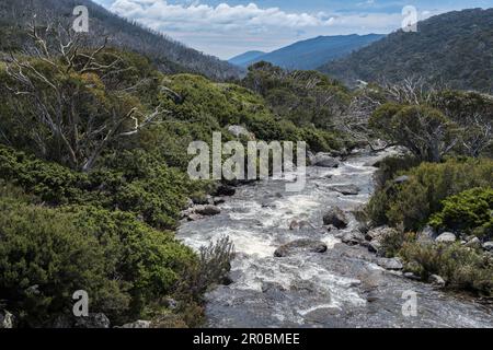 Der Theredbo River am Dead Horse Gap, Kosciuszko National Park, New South Wales, Australien Stockfoto