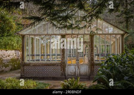 Ein altes Gewächshaus, heißes Haus, im Pena Naturpark, Sintra, märchenhafter grüner Walddschungel Stockfoto