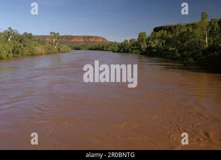 Der Ord River ist ein 651 Kilometer langer (405 Meilen) langer Fluss in der Region Kimberley in Westaustralien. Stockfoto