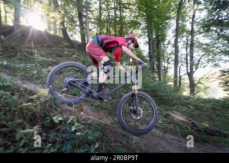 Mountainbiker, der bergab durch Waldwege fährt, Bayern, Deutschland Stockfoto