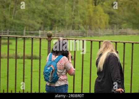 Zwei weibliche Besucher in einem Landschaftspark Stockfoto