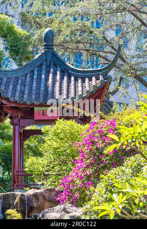 Der Rising Sun Jade Pavillion befindet sich in der Nähe eines Wasserfalls auf dem Gipfel der Chinese Gardens of Friendship in Sydney, Australien Stockfoto