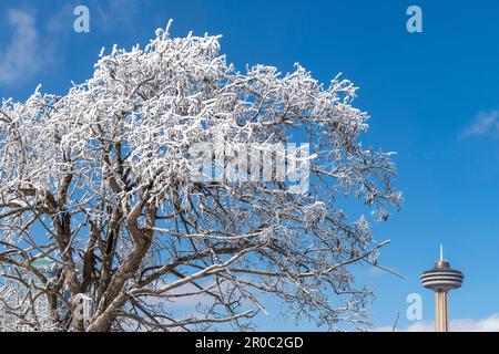 Niagara Falls State Park, NY, USA – Februar 2023; Blick auf den frostigen weißen Baum am Prospect Point als Folge des Wasserspiegels, der von den Wasserfällen mit Obse kommt Stockfoto