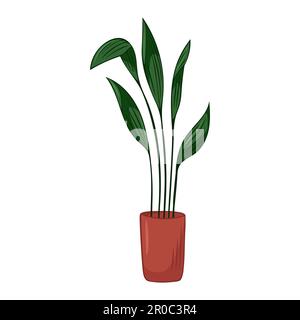 Handgezeichnete süße Sommerdarstellung von wachsendem Aspidistra im Topf.Vektor Heimpflanze Symbol isoliert auf weißem Hintergrund. Stock Vektor