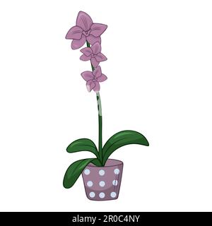 Handgezeichnete süße Sommerdarstellung einer wachsenden Orchidee im Topf. Flache Vektorpflanze, isoliert auf weißem Hintergrund. Stock Vektor