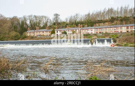 Dublin, Irland - 03.19.2023: Gesunde Lebensweise Kajakfahren auf dem Liffey River in Lucan. Eine Gruppe von Kajakfahrern geht auf den Wasserfall. Freizeit, rel Stockfoto