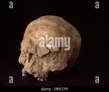 Verputzter menschlicher Schädel, vor-Keramik-Neolithik B (c.8800–6500 BC). Name Des Standorts:. Jericho/Erzähl es Sultan. . Stockfoto