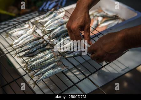 Detail der Hände, die frische Sardinen auf den Grill legen. Stockfoto