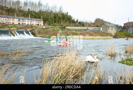 Dublin, Irland - 03.19.2023: Gesunde Lebensweise Kajakfahren auf dem Liffey River in Lucan. Eine Gruppe von Kajakfahrern geht auf den Wasserfall. Freizeit, rel Stockfoto