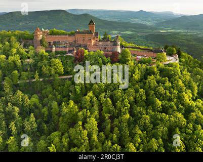 Château du Hautkoenigsburg hoch über den Vogesen, Orschwiller, Elsass, Frankreich Stockfoto