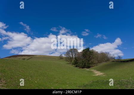 Sonniger Frühlingstag im Ladybower Reservoir, Peak District beliebter Outdoor-Wanderweg und Radweg in Großbritannien, England, passend für alle Familienmitglieder Stockfoto