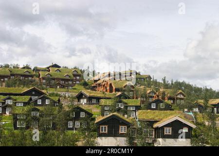 Holzhütten mit moosbedeckten Dächern am Eidfjord, Hordaland, Norwegen, Stockfoto