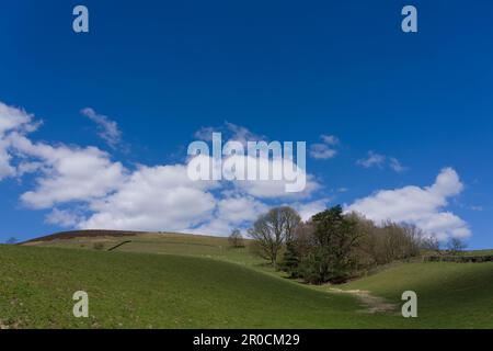 Sonniger Frühlingstag im Ladybower Reservoir, Peak District beliebter Outdoor-Wanderweg und Radweg in Großbritannien, England, passend für alle Familienmitglieder Stockfoto