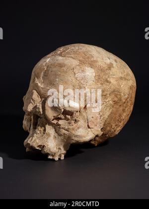 Verputzter menschlicher Schädel, vor-Keramik-Neolithik B (c.8800–6500 BC). Name Des Standorts:. Jericho/Erzähl es Sultan. . Stockfoto