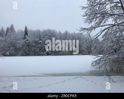Eine Winterszene mit einer ruhigen Landschaft mit Bäumen im Hintergrund Stockfoto