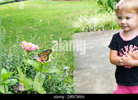 Kind mit Schmetterling. Kleinkind sieht Monarch-Schmetterling Stockfoto