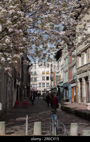 Rue Eau de Robec im historischen Stadtzentrum von Rouen, Frankreich, mit Frühlingsblüte. Stockfoto