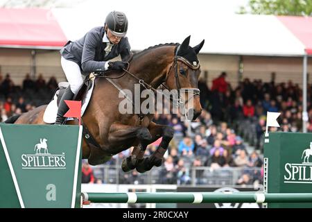 Badminton Estate, Gloucestershire, Großbritannien. 8. Mai 2023. 2023 Badminton Horse Trials Day 5; Aistis Vitkauskas aus Litauen Reiten Commander VG während des Show-Springtests am 5. Tag des Badminton Horse Trials Credit: Action Plus Sports/Alamy Live News 2023 Stockfoto