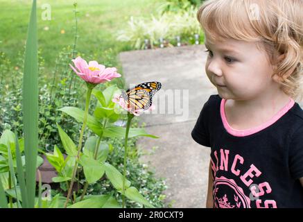 Kind mit Schmetterling. Kleinkind sieht Monarch-Schmetterling Stockfoto