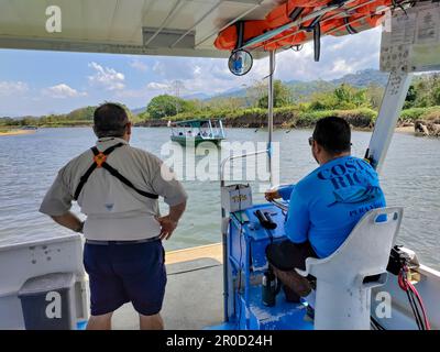 Tarcoles, Costa Rica - Ein Reiseleiter und Bootsführer auf einem Kreuzfahrtschiff mit Krokodilbeobachtung auf dem Fluss Tarcoles. Stockfoto