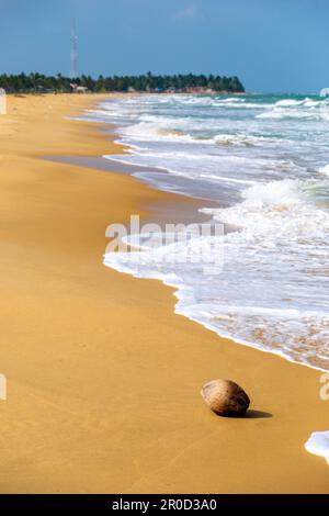 Leerer Strand an der Nordostküste Sri Lankas, Ceylon Stockfoto