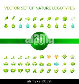 Satz von 50 Ökologie Icons, Natur-Logo, Biologie Symbole von Hand, Sonne und Schnee, Tropfen, Blätter und Herzen. Vektor Stock Vektor