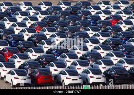 Mehr als 150 Tesla Elektroautos werden am Hafen in Southampton, Hampshire, gelagert und warten auf die Auslieferung an die Händlerbetriebe durch Autotransporter. April 2023. Stockfoto