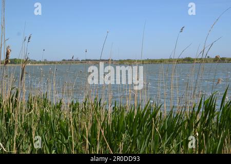 Der Durankulak-See ist in Bulgarien erhalten Stockfoto