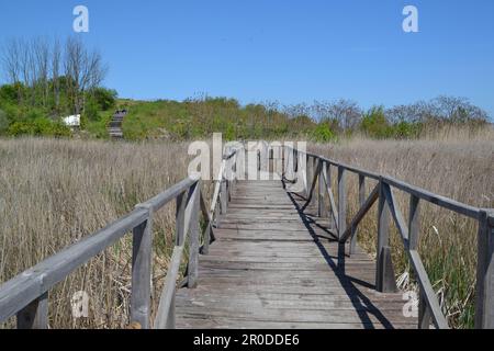 Der Durankulak-See ist in Bulgarien erhalten Stockfoto