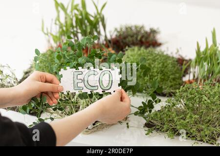 Puzzle mit der Inschrift Eco in den Händen auf dem Hintergrund von Microgreens. Stockfoto