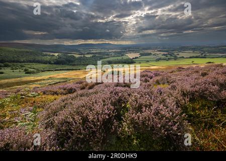 Sonnenbalken und schwere Wolken über den Cleveland Hills von Kildale Moor, North Yorkshire Stockfoto