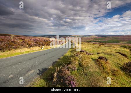 Die Straße über den Moor, Kildale Moor, North York Moors National Park, England Stockfoto