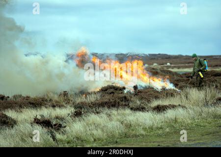 Kontrolliertes Heather Burning, North York Moors National Park Stockfoto