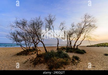 Sonnenuntergang in Torre Vado - Marina di Salve - Salento, Apulien, Italien Stockfoto