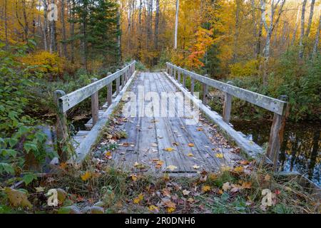 Dieses Bild zeigt eine Brücke entlang des North Shore National Trail im Norden von Wisconsin. Es wurde aufgenommen, während Wohnmobile auf einem Campingplatz im National Forest Campingplatz zelten. Stockfoto