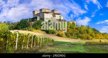 Malerische Weinberge und mittelalterliche Burgen Italiens - beeindruckende Torrechiara (nahe Parma) Emilia-Romagna Region Stockfoto