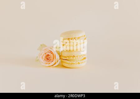 Leckere französische Makronen mit zarten Rosenblumen auf gelbem Pastellhintergrund. Platz für Text. Stockfoto