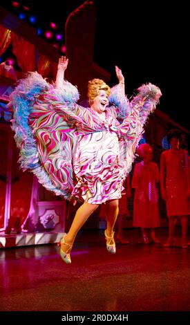 Michael Ball (Edna Turnblad) in HAIRSPRAY im Shaftesbury Theatre, London WC1 30/10/2007 Buch: Mark O'Donnell & Thomas Meehan Musik: Marc Shaiman Texte: Scott Wittman & Marc Shaiman Set Design: David Rockwell Kostüme: William Ivey lange Perücken & Haare: Paul Huntley Beleuchtung: Kenneth Posner Choreographie: Jerry O Mitchell Regisseur Stockfoto