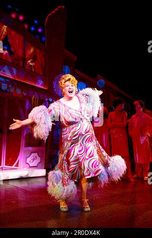 Michael Ball (Edna Turnblad) in HAIRSPRAY im Shaftesbury Theatre, London WC1 30/10/2007 Buch: Mark O'Donnell & Thomas Meehan Musik: Marc Shaiman Texte: Scott Wittman & Marc Shaiman Set Design: David Rockwell Kostüme: William Ivey lange Perücken & Haare: Paul Huntley Beleuchtung: Kenneth Posner Choreographie: Jerry O Mitchell Regisseur Stockfoto